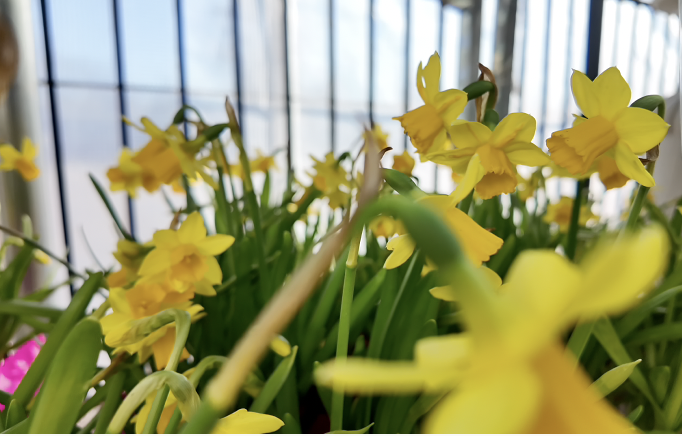 Screenshot 2026-03-25 at 8.41.23 PM.png