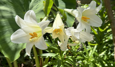 Screenshot 2026-03-25 at 8.44.21 PM.png