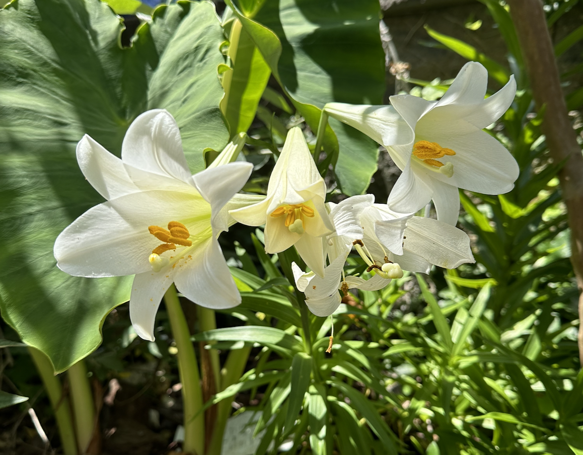 Screenshot 2026-03-25 at 8.44.21 PM.png