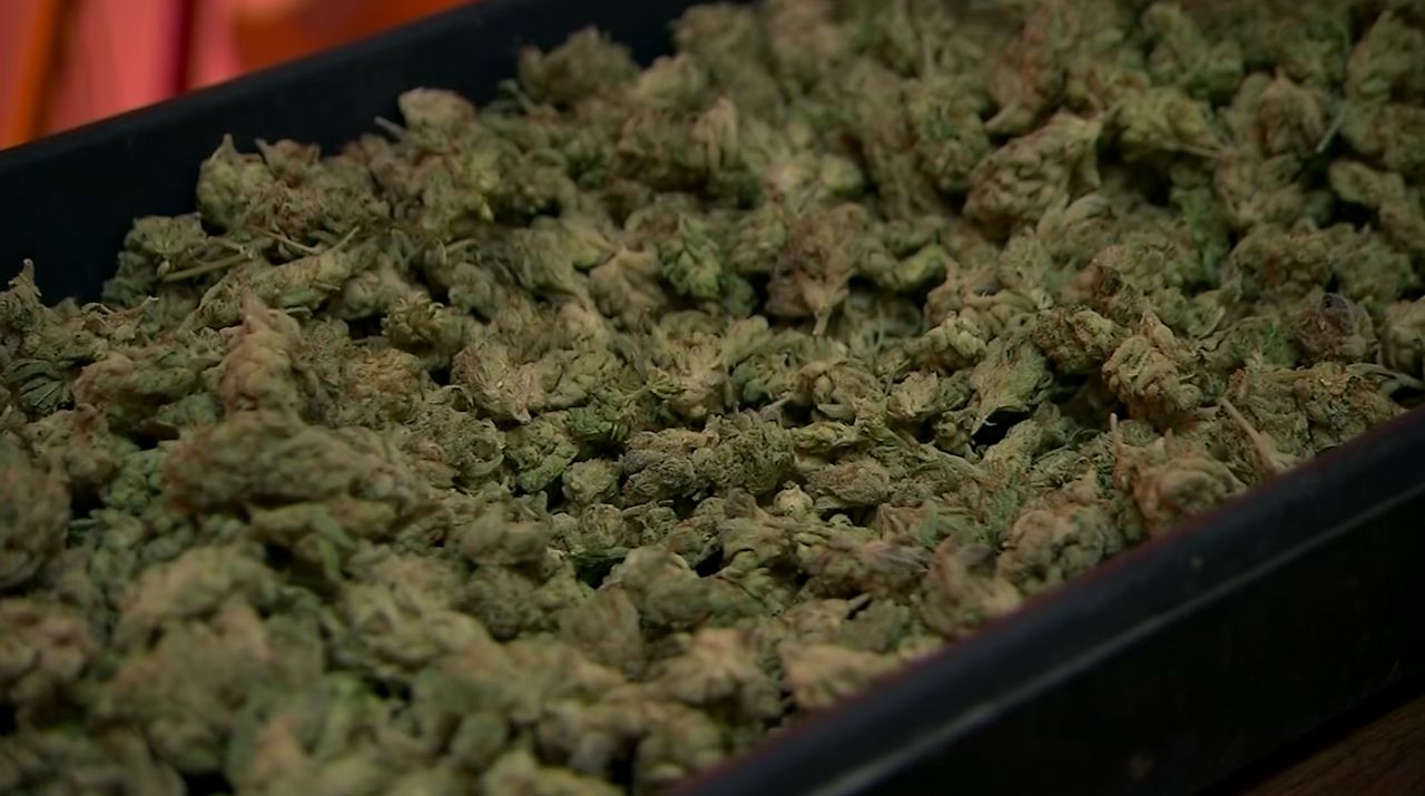 State cannabis revenue slow to return to communities