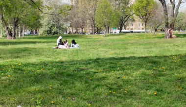 News 12 | Bronx | Pollen Problems Experts Warn Brutal Allergy Season Could Hit The Bronx