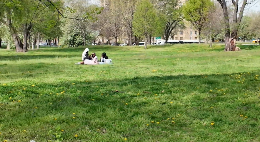 News 12 | Bronx | Pollen Problems Experts Warn Brutal Allergy Season Could Hit The Bronx