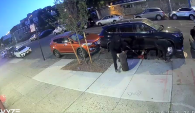 News 12 | Bronx | 16 People Charged In Auto Theft Ring Across New York City