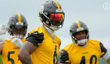 Entering Final Year Of Steelers Contract, Patrick Queen Switches Agents