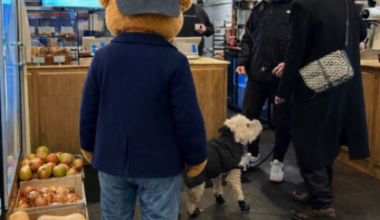 Tribeca Citizen | Seen & Heard: Stealing the TC logo