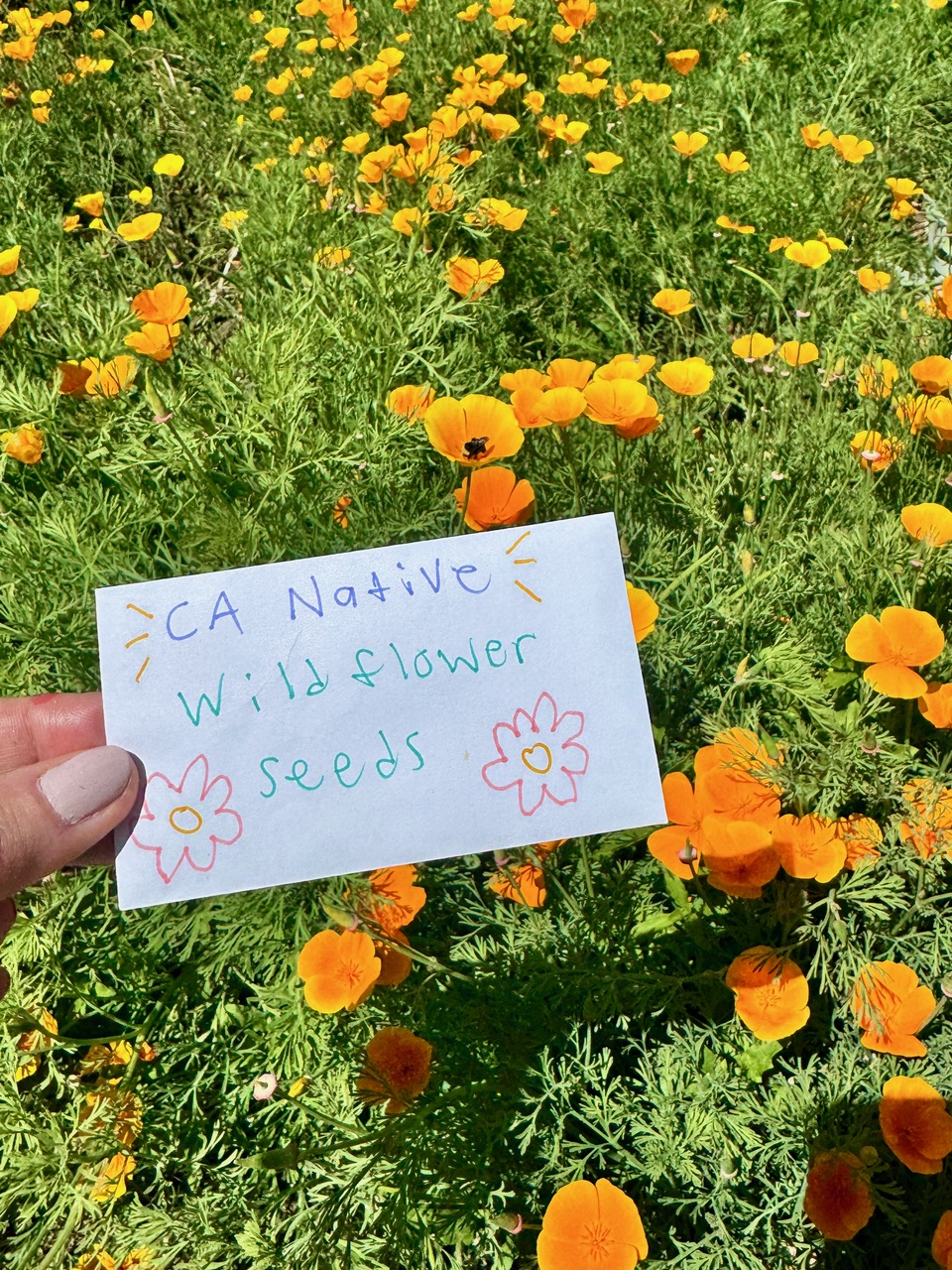 The Manhattan Beach Botanical Garden celebrated its 25th anniversary on...