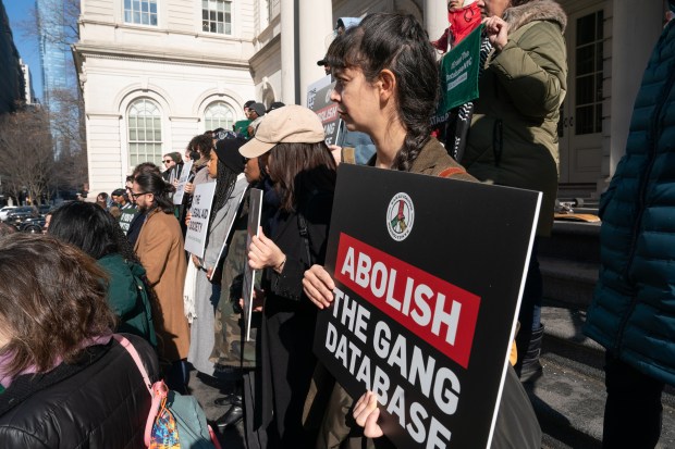 Activists gather for a G.A.N.G.S. Coalition rally on the steps of City Hall in Manhattan, calling for the elimination of the NYPD's 'gang database' Monday, Feb. 24, 2025 in New York City. (Barry Williams / New York Daily News)