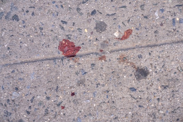 Drops of blood are pictured on the sidewalk after a five-year-old Bronx boy fell from his family's third-floor apartment window in a building on E. 167th St. in the Bronx on Monday, April 6, 2026. (Theodore Parisienne / New York Daily News)