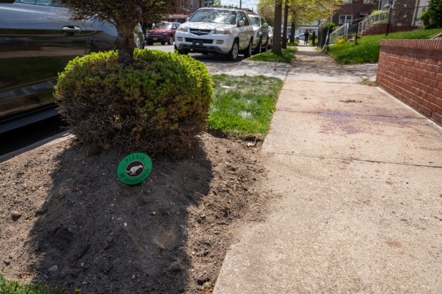 Blood is pictured on the ground after a man, allegedly enraged over a dog peeing on his lawn, stabbed multiple people on 229th St. near 141st Ave. in Queens on Thursday, April 23, 2026. (Theodore Parisienne / New York Daily News)