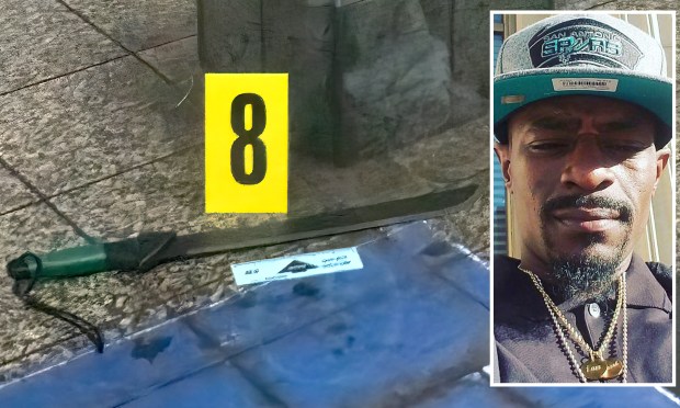 Anthony Griffin (inset) was shot dead by NYPD cops in Grand Central Station after slashing three elderly victims with a machete.