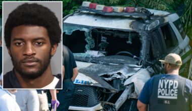 Pro-Palestine protester admits he torched 11 NYPD vehicles in Brooklyn, will get 5 years