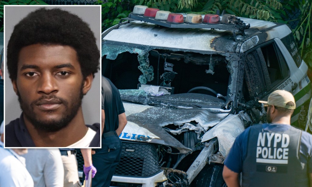 Pro-Palestine protester admits he torched 11 NYPD vehicles in Brooklyn, will get 5 years