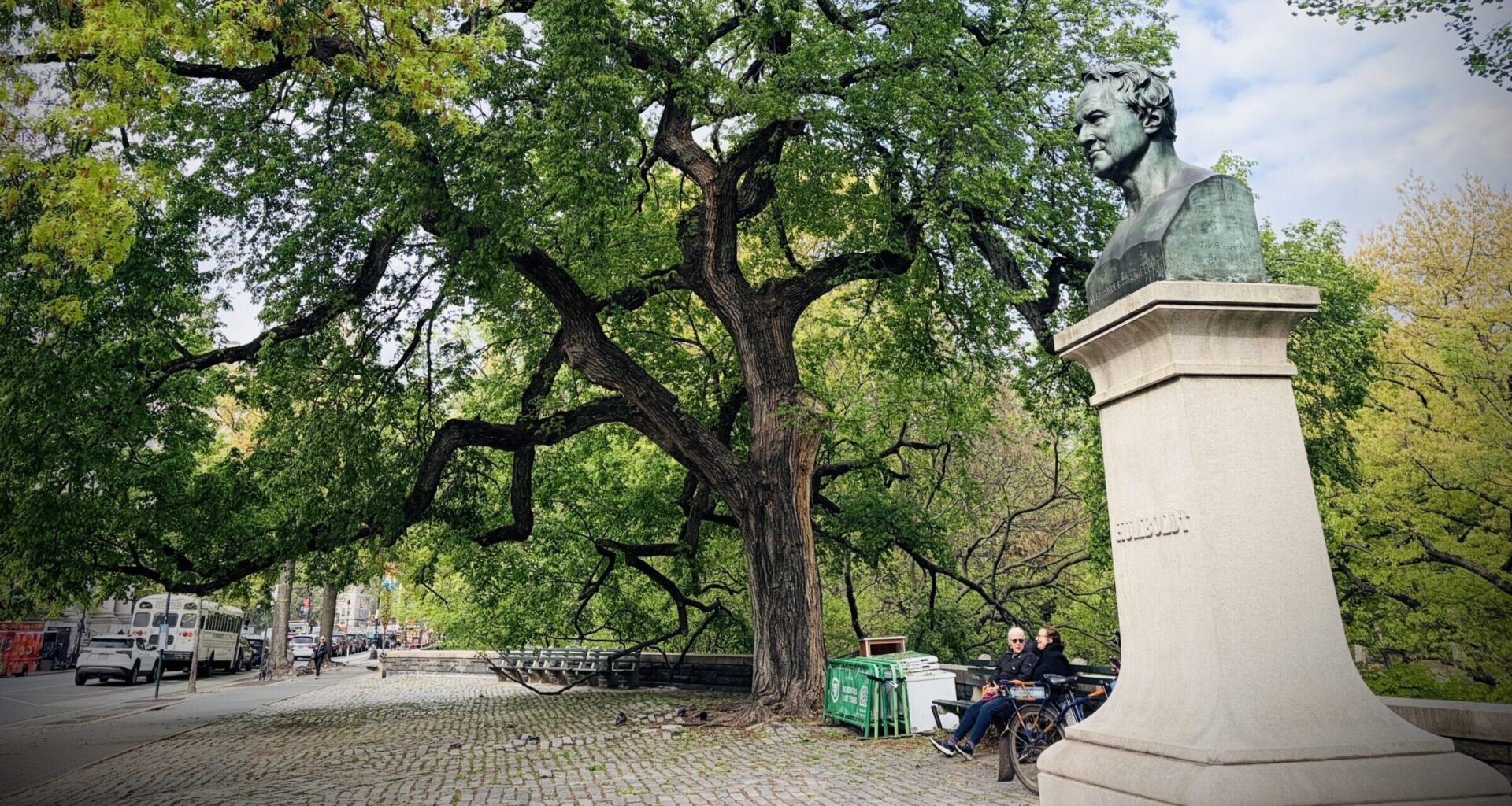 What Upper West Side Trees Put Up With