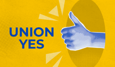 Patagonia Workers in New York Vote Unanimously to Join the RWDSU - The United Food & Commercial Workers International Union