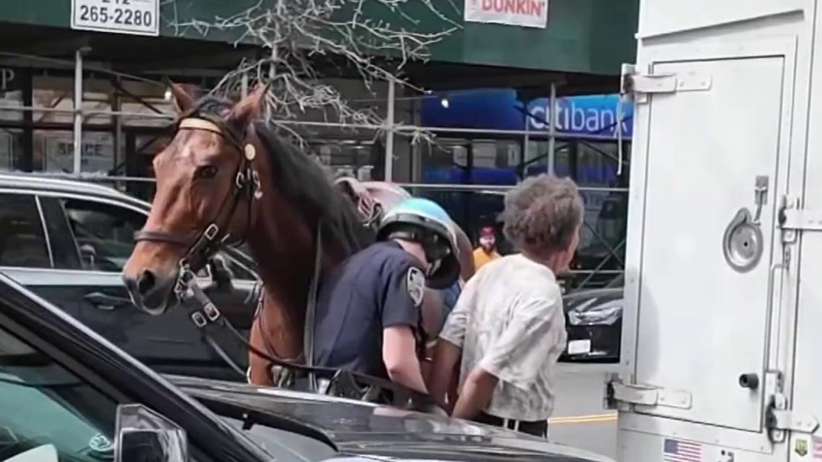 NYPD officer on horseback chases down attempted purse snatcher – NBC New York