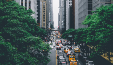 New York State’s Budget Includes Major Contributions to Climate Goals