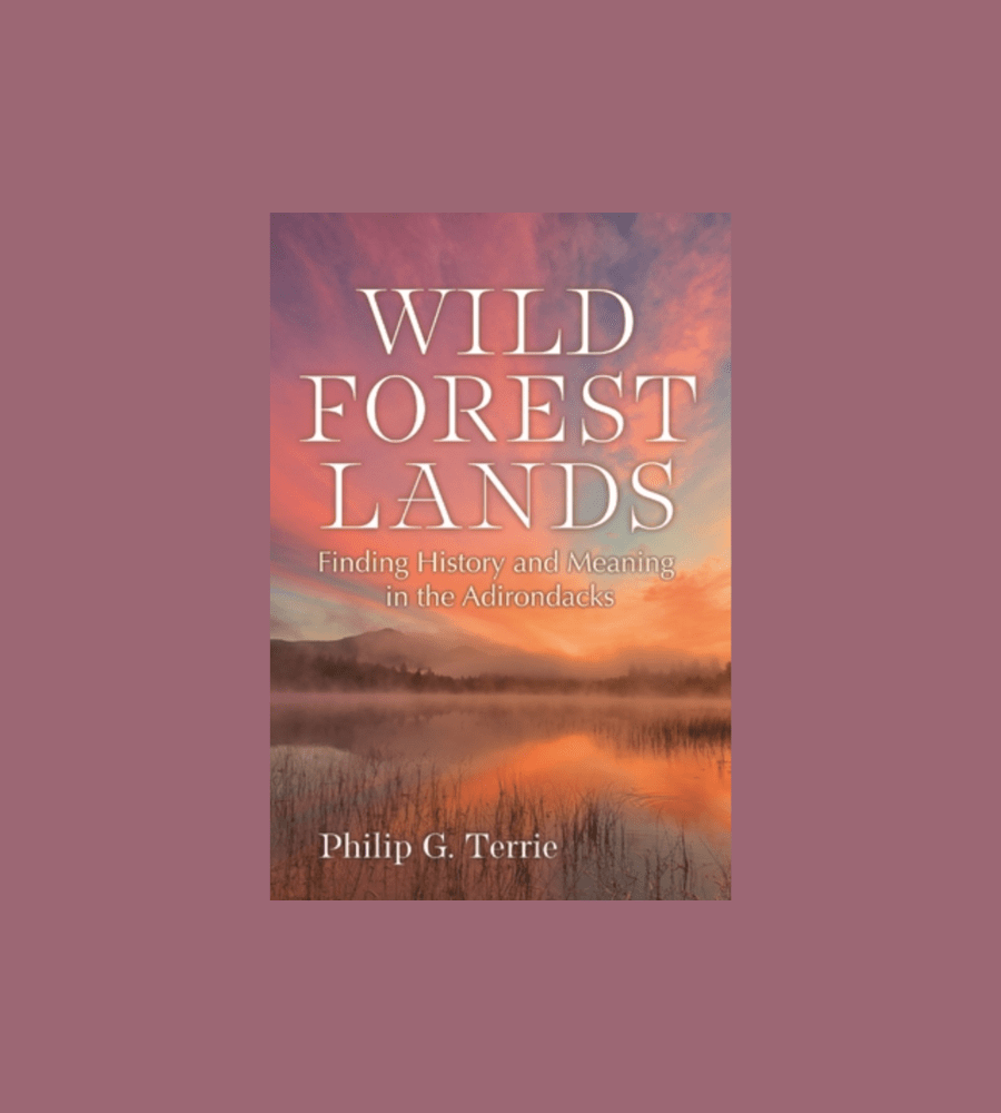 book cover with lake and sunset for “Wild Forest Lands” (Syracuse University Press, 2025)