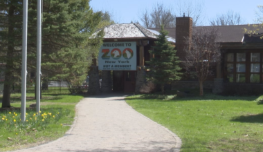 Zoo New York held first ever Spring Fling celebration