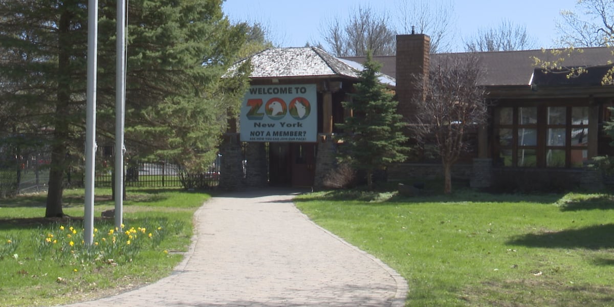 Zoo New York held first ever Spring Fling celebration