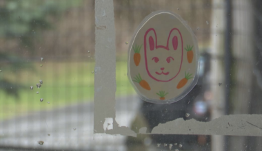 Zoo New York held Easter celebration event Sunday