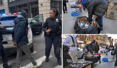Illegal vendors swarm NYC's Chinatown months after ICE raids in cat-and-mouse game with authorities