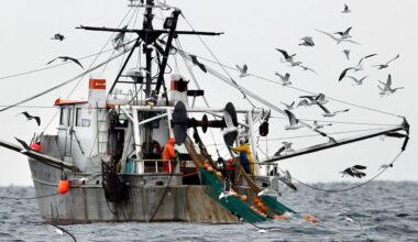 commercial-fishing