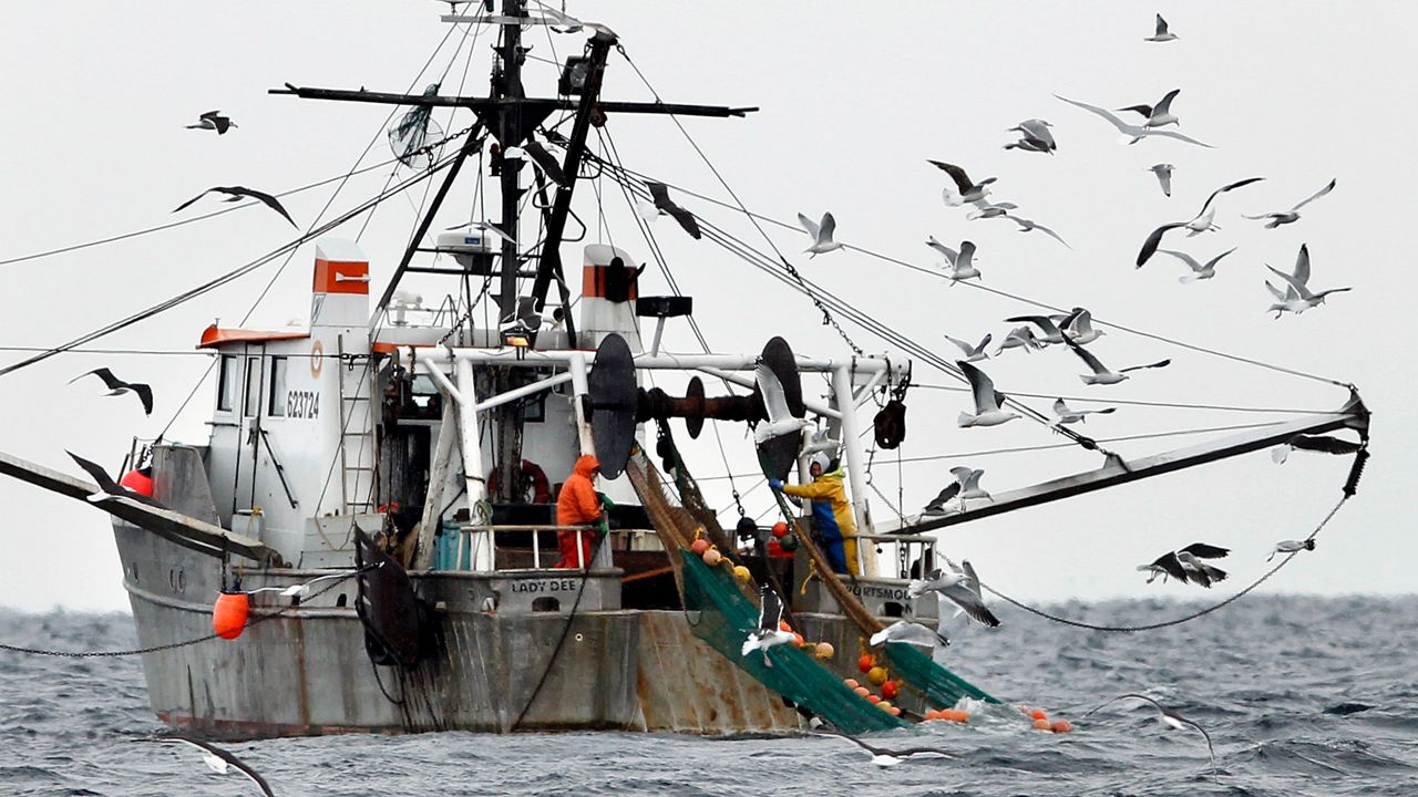commercial-fishing