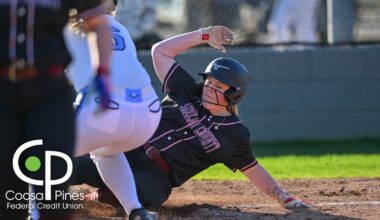 Brooklyn Richardson racks up 19 strikeouts as Shelby County extends wi...