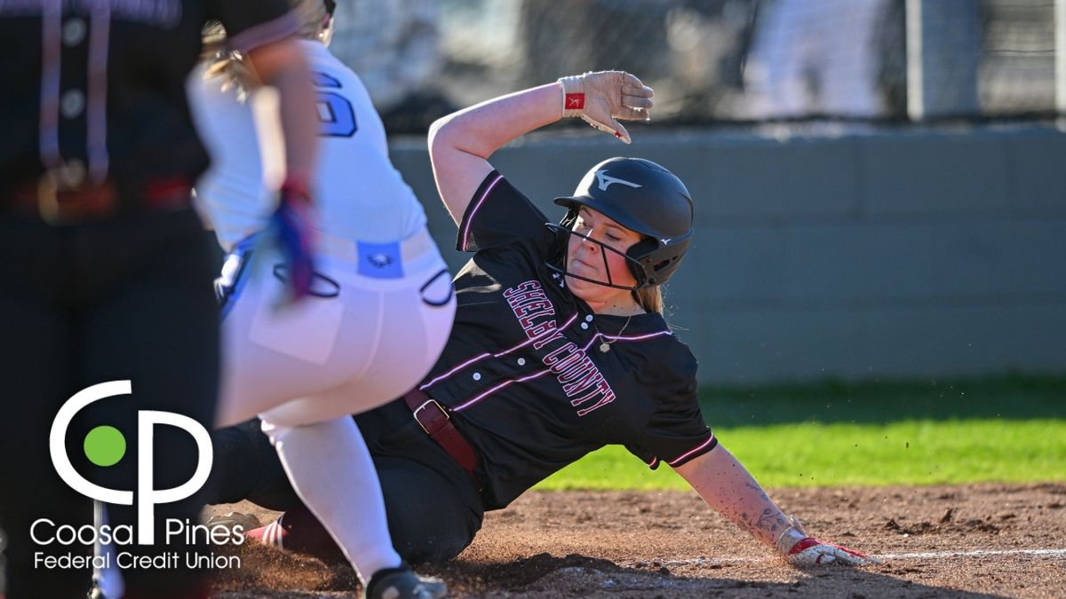 Brooklyn Richardson racks up 19 strikeouts as Shelby County extends wi...