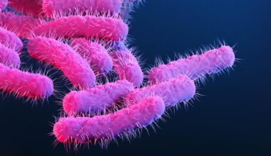 Superbug That Causes Bloody Diarrhea Spreading In New York