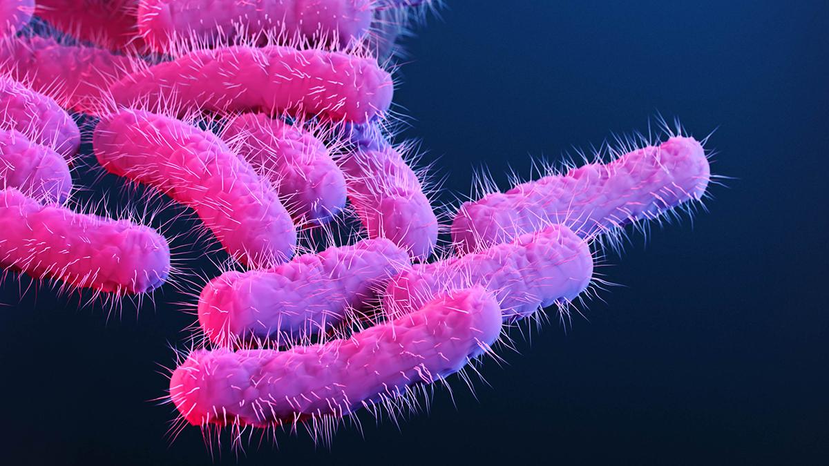 Superbug That Causes Bloody Diarrhea Spreading In New York