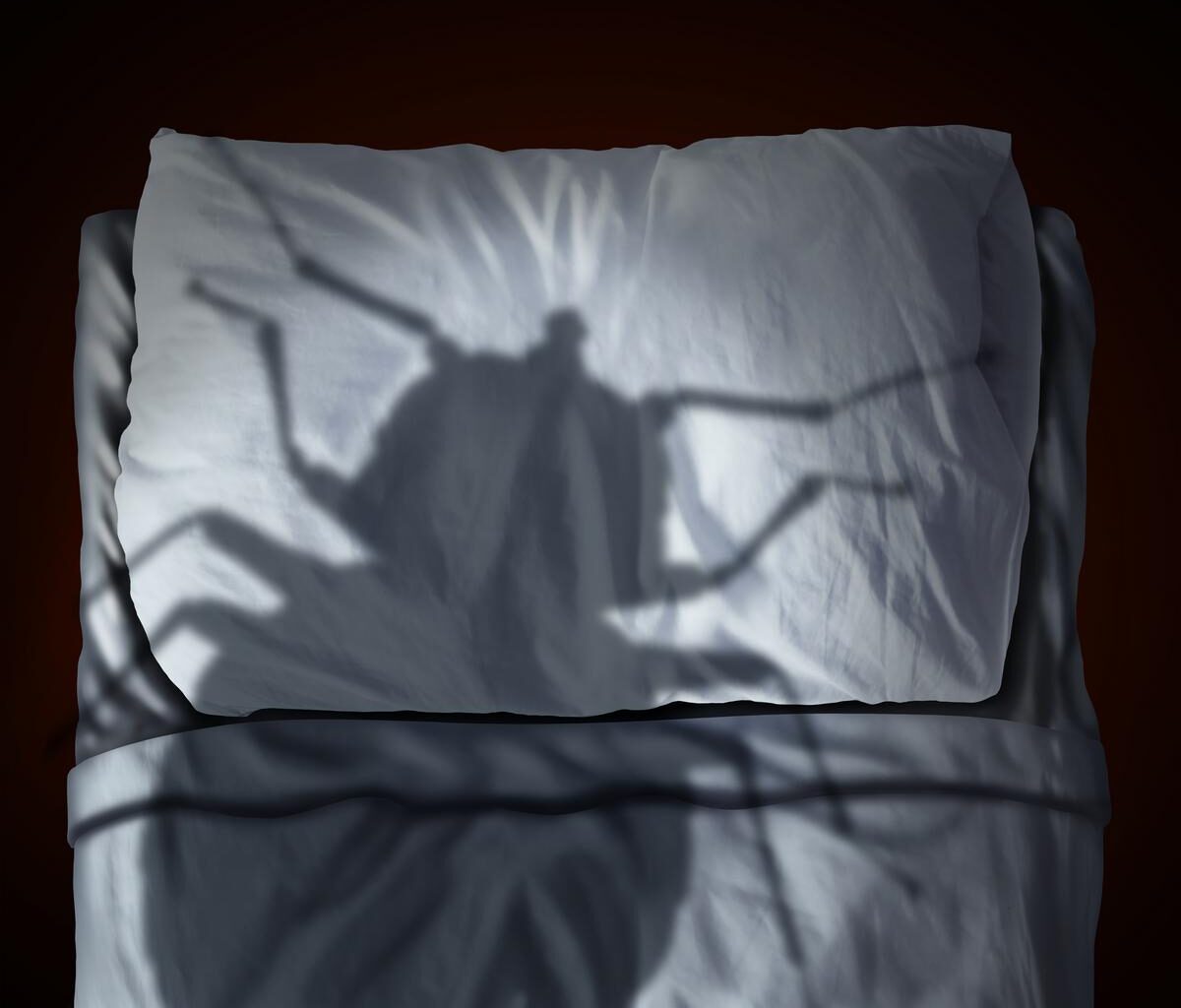 New York Taking Drastic Action To Battle Bed Bugs