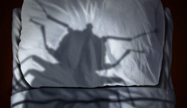 New York Taking Drastic Action To Battle Bed Bugs