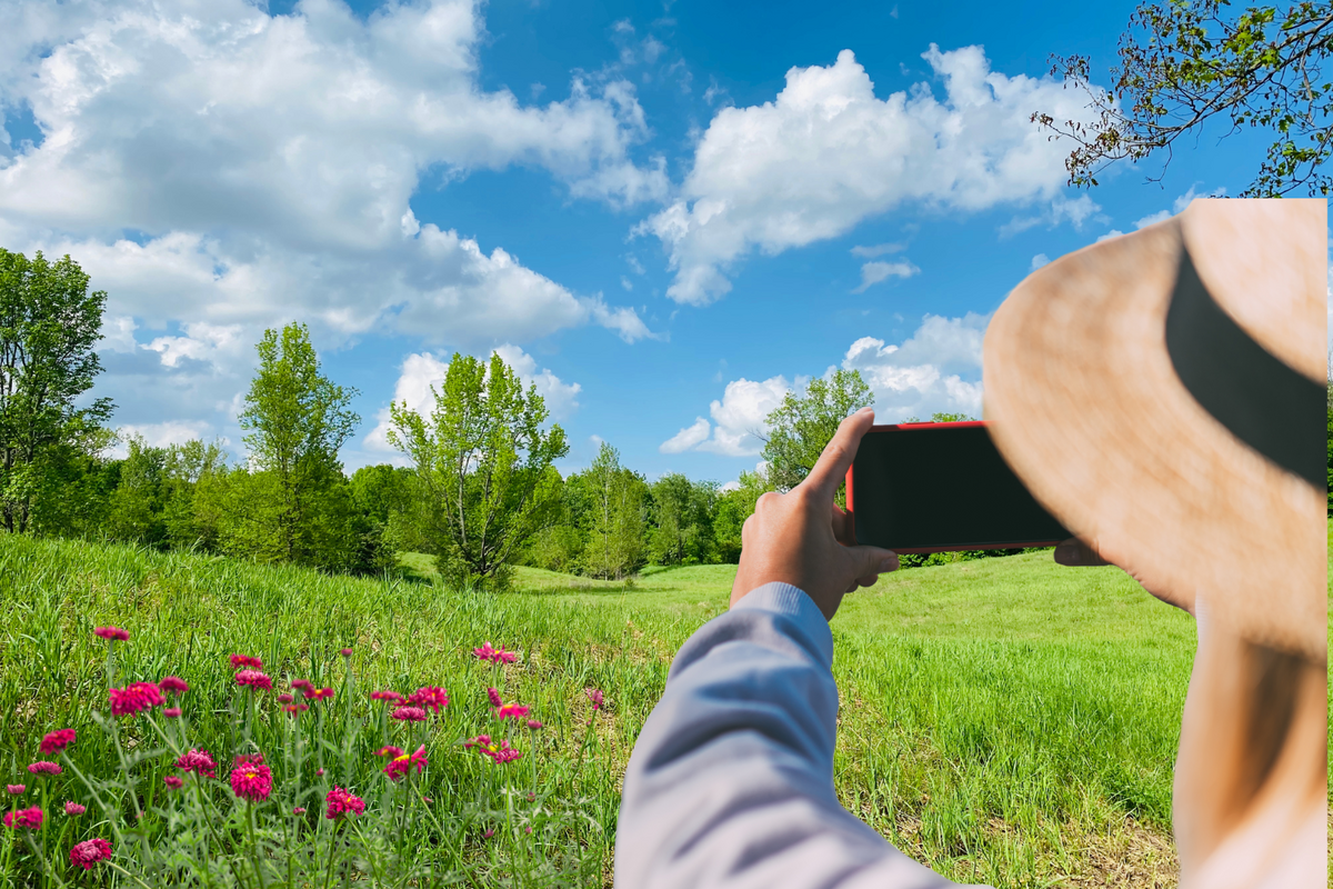 Share Your Spring Photos From NY State For The Almanac Cover