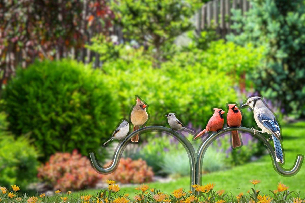 Do You Know The Official State Bird Of New York?