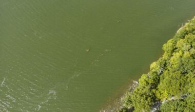 New York State Plan Targets Toxic Threat In Hudson River