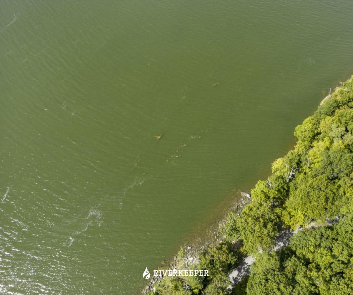 New York State Plan Targets Toxic Threat In Hudson River