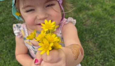 This Invasive, Yellow Weed Is About To Overtake New York State