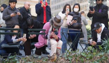 New Yorkers flock to Manhattan park for lovable woodcocks' bobbing strut :: WRAL.com