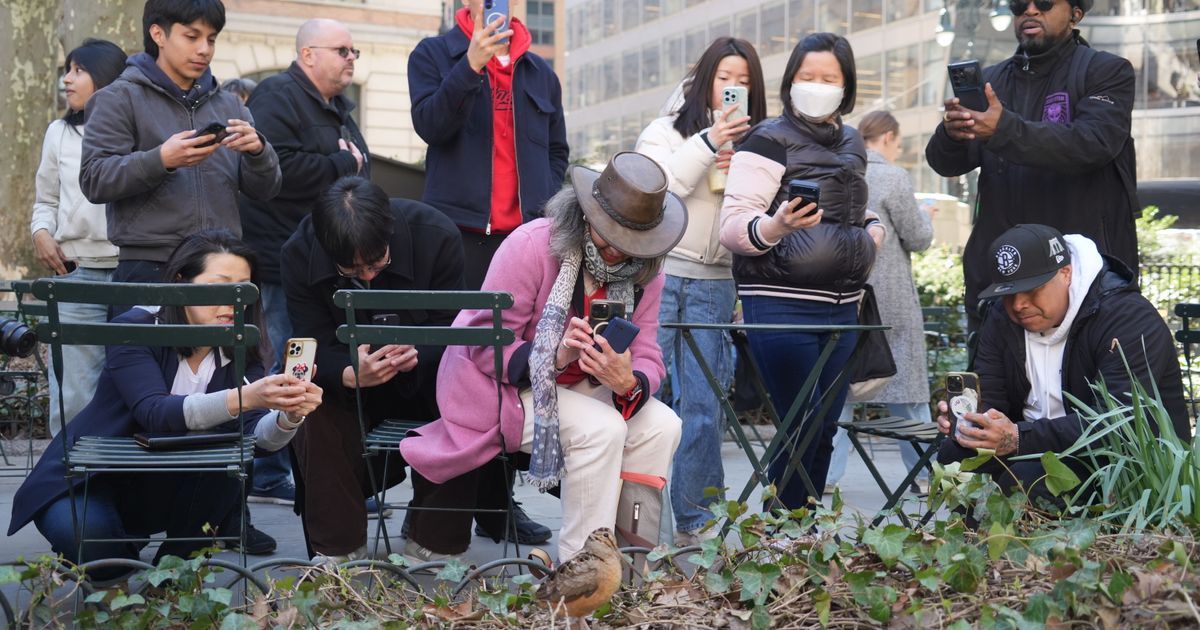 New Yorkers flock to Manhattan park for lovable woodcocks' bobbing strut :: WRAL.com