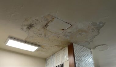 News 12 | Brooklyn | Ongoing Leak Leaves Mail And Packages Wet Inside Kensington Building