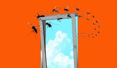 I Can’t Find Screens That Fit My New-Build Apartment Windows