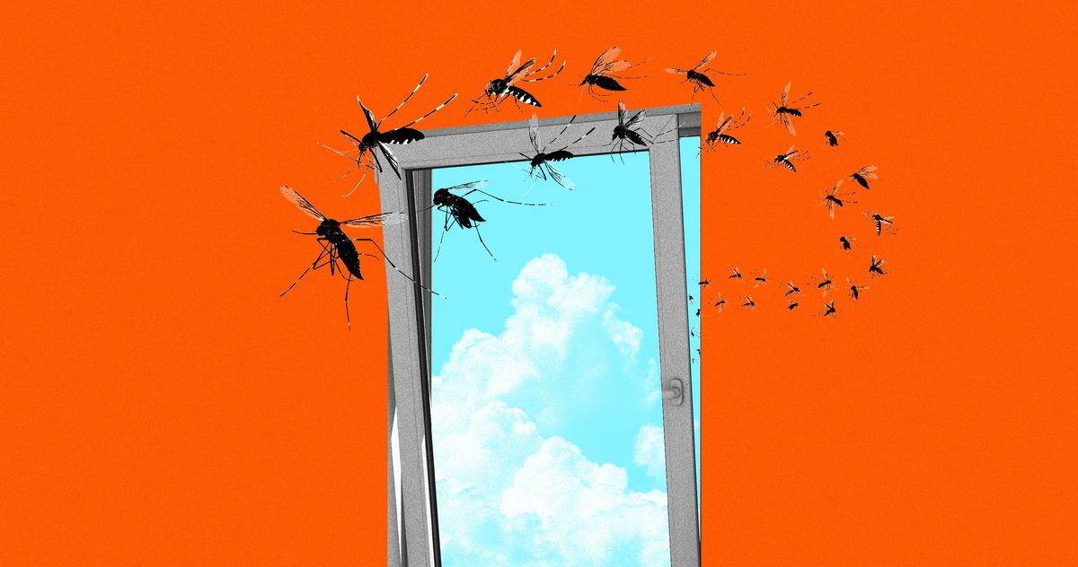 I Can’t Find Screens That Fit My New-Build Apartment Windows