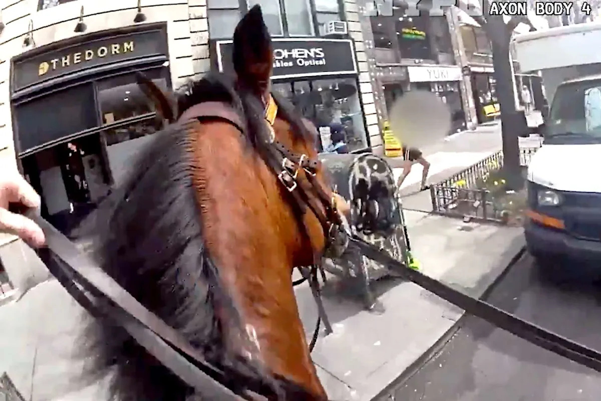 NYPD Mounted Officer Chases Woman Accused of Snatching Purse in Dramatic Manhattan Pursuit