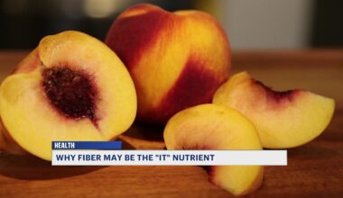 News 12 | Bronx | Experts Fiber Has Numerous Benefits And Should Not Be Overlooked