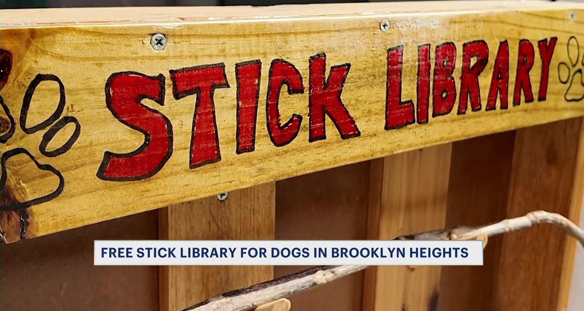 futureofpachaCM_2026-04-16-22-50-55