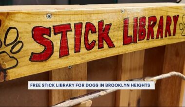 futureofpachaCM_2026-04-16-22-50-55