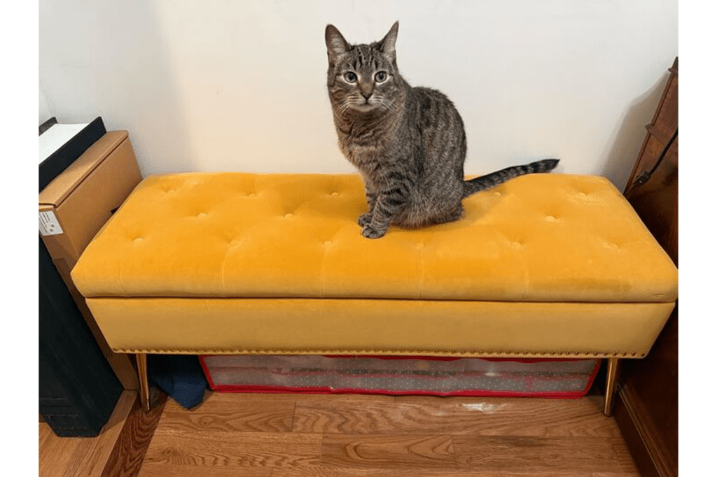 House of Hampton Bench