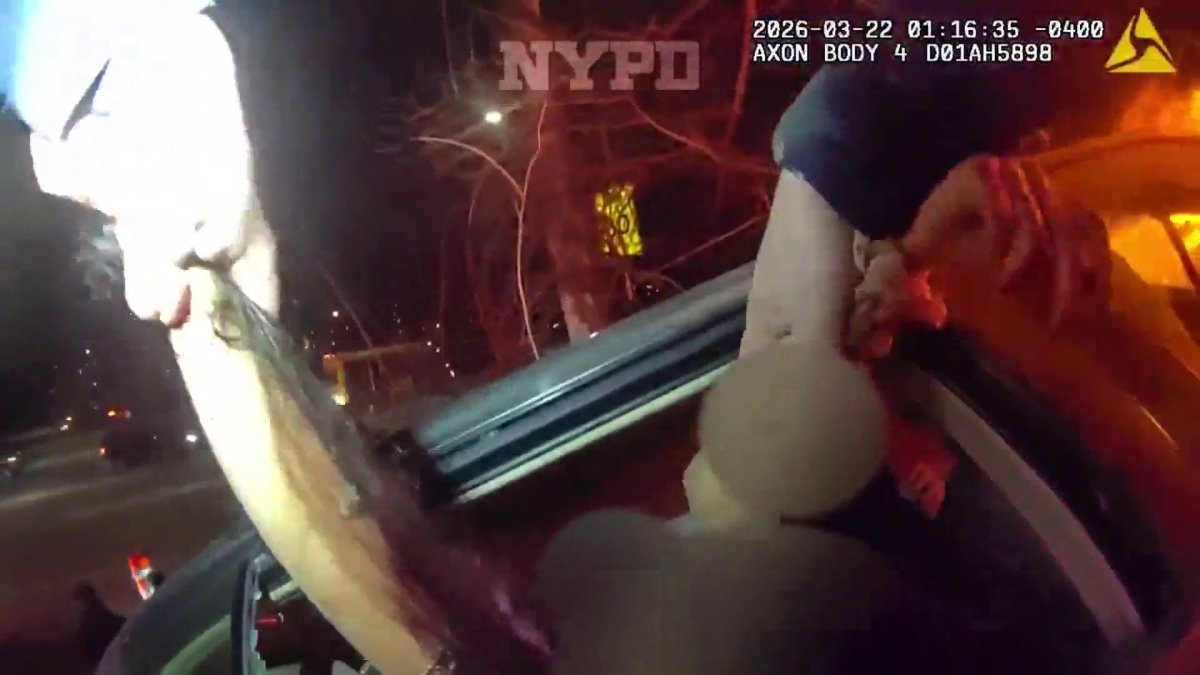 Video shows NYPD rescue on Grand Central Parkway – NBC New York