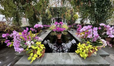 Annual show on display at NYBG